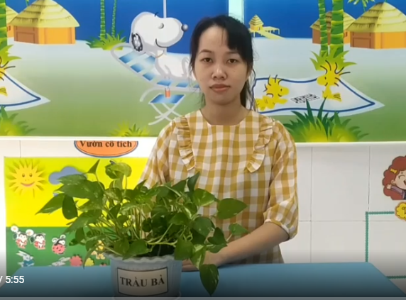 Ảnh đại diện